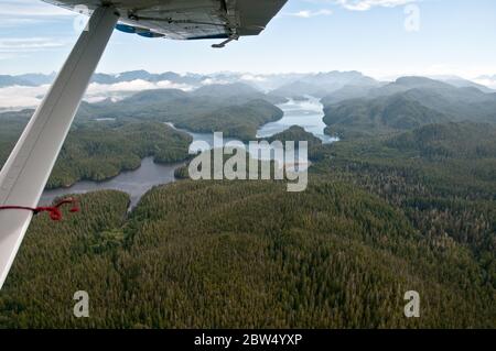 Eine Luftaufnahme des dichten Waldes und der pazifischen Küstengewässer des Great Bear Rainforest an der zentralen Küste in British Columbia, Kanada. Stockfoto