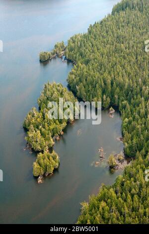 Eine Luftaufnahme des dichten Waldes und der pazifischen Küstengewässer des Great Bear Rainforest an der zentralen Küste in British Columbia, Kanada. Stockfoto