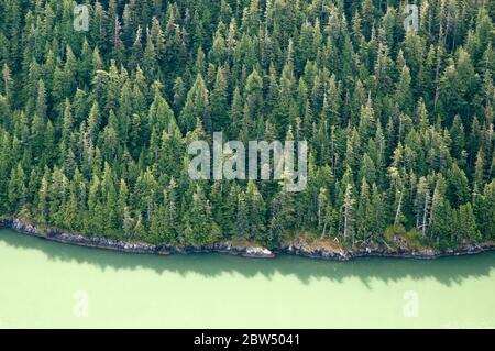 Eine Luftaufnahme des Gletscherschlammwassers von Rivers Inlet, im Great Bear Rainforest, der zentralen Pazifikküste von British Columbia, Kanada. Stockfoto