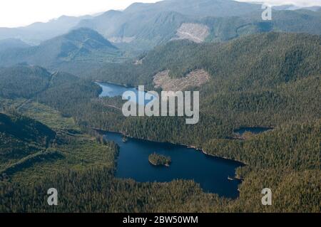Eine Luftaufnahme von Holzfällungen und Straßen in der Nähe von abgelegenen Seen im Great Bear Rainforest an der zentralen Küste von British Columbia, Kanada. Stockfoto