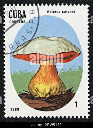 Boletus satanas giftiger Pilz. Serie: Ungenießbare und giftige Pilze. Briefmarke Kuba 1988 Stockfoto