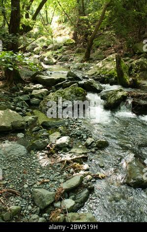 Die Quelle speiste den Fluss Fonias, auf der nordgriechischen Insel Samothraki, in der nördlichen Ägäis, Thrakien, Griechenland. Stockfoto