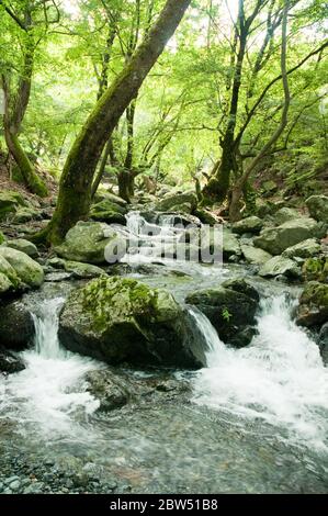 Die Quelle speiste den Fluss Fonias, auf der nordgriechischen Insel Samothraki, in der nördlichen Ägäis, Thrakien, Griechenland. Stockfoto