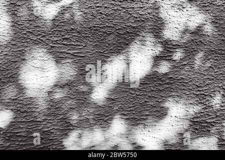 Abstrakte Zement-Wand Textur mit Betonflecken, Schatten von Bäumen fallen auf die Wand, wodurch ein schönes Muster. Stockfoto