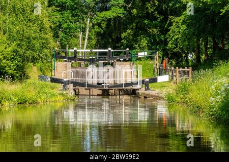 Brewhurst Lock auf dem Wey und Arun Kanal, einem teilweise restaurierten Kanal in der Nähe von Loxwood, West Sussex, Großbritannien Stockfoto
