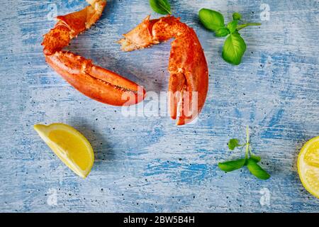 Ein teures Abendessen Meeresfrüchte frisch serviert mit gekochtem Essen von Hummer Klaue und Zitrone Stockfoto