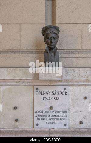 Budapest, Ungarn - 8. Feb 2020: Bronzebüste von Sandor Tolnay auf einer Steinmauer nahe dem Kossuth Platz Stockfoto