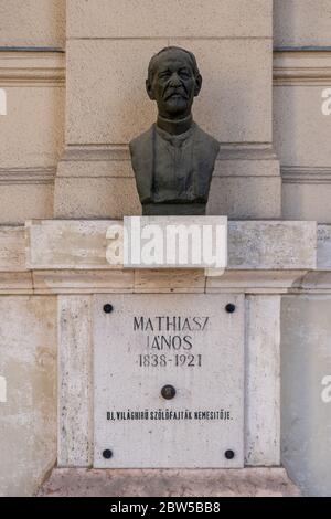 Budapest, Ungarn - 8. Februar 2020: Bronzebüste von Janos Mathiasz auf der Linensteinmauer am Kossuth-Platz Stockfoto