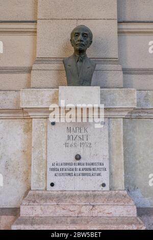 Budapest, Ungarn - 8. Feb 2020: Bronzebüste von Marek Jozsef auf der Linesteinwand nahe dem Kossuth Platz Stockfoto