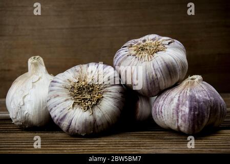 Lila Knoblauch auf Holz Vordergrund Stockfoto