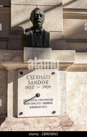 Budapest, Ungarn - 8. Feb 2020: Bronzebüste von Sandor Cserhati auf einer Steinmauer nahe dem Kossuth Platz Stockfoto