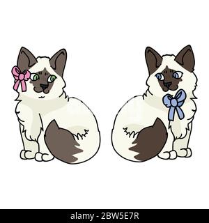 Nette Cartoon Ragdoll Kätzchen junge und Mädchen Katze Vektor Clipart. Ahnenkätzchen Rasse für Katzenliebhaber. Reinrassige Kätzchen Geschlechtsbogen für Stube mit Bogen Stock Vektor