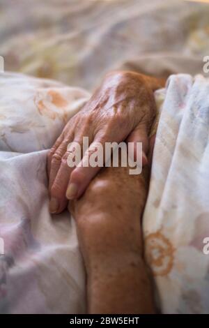 Gefaltete Hände einer älteren Frau. Stockfoto