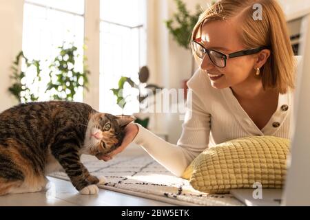 Lächelnde Frau Freiberuflerin in Gläsern liegt auf dem Teppich im Wohnzimmer zu Hause, streichelt und spielt mit Katze. CAT stört die Arbeit auf dem Laptop. Liebe p Stockfoto