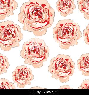 Nahtloses Blumenrosenmuster. Vektorgrafik. Floraler Hintergrund. Stock Vektor