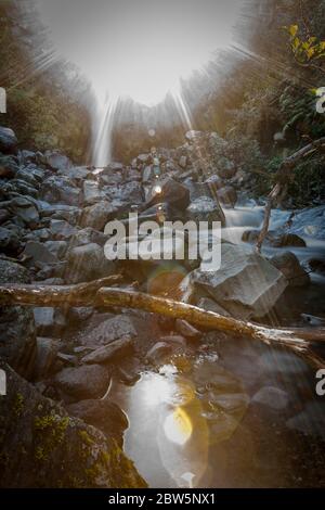 Felsige Flussbett mit verbleibenden Strom fließt von hellen Schein der Sonne durch Bäume, Taranaki Neuseeland beleuchtet. Stockfoto