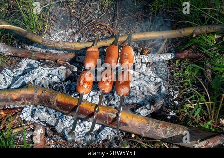 Kochen auf einem Scheiterhaufen in einem wilden Wald abseits der Zivilisation. Grill Grill mit Spieße in der Natur. Stock Foto Stockfoto