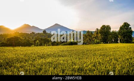 Wunderschöne Aussicht auf Reisfelder und Berge bei Sonnenaufgang Stockfoto