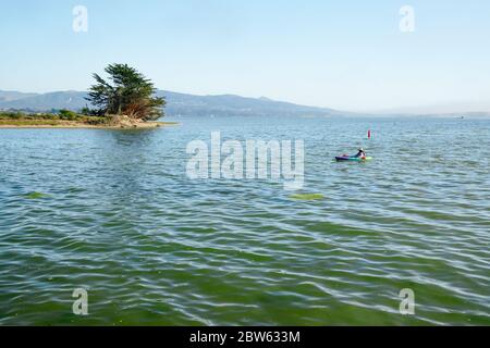 Morro Bay, Kalifornien/USA - 27. Mai 2020 Morro Bay Mündungsübersicht, Gebiet, wo Salzwasser und Süßwasser zusammenkommen. Kajakfahren In Morro Bay Stockfoto