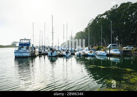 Morro Bay, Kalifornien/USA - 27. Mai 2020 Marina Harbor, Morro Bay State Park, Los Osos, Kalifornien Küste Stockfoto