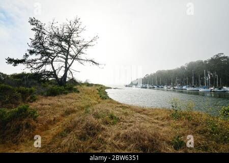 Morro Bay, Kalifornien/USA - 27. Mai 2020 Marina Harbor, Morro Bay State Park, Los Osos, Kalifornien Küste Stockfoto