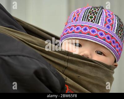 Niedliche vietnamesische H'mong Baby Junge sitzt in einem Baby-Tragetuch und schaut auf die Kamera. Stockfoto