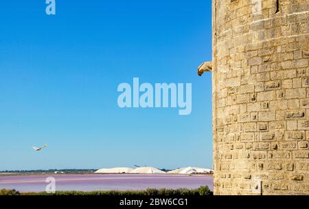 Camargue: Blick von der Stadtmauer der Altstadt von Aigues-Morte auf die Saline du Midi (Salzgewinnung) Stockfoto