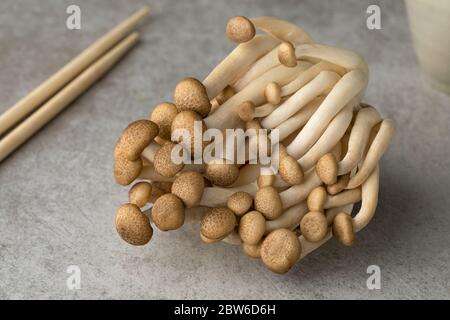 Cluster von frischen braunen Shimeji Pilze aus der Nähe bereit zum Kochen Stockfoto