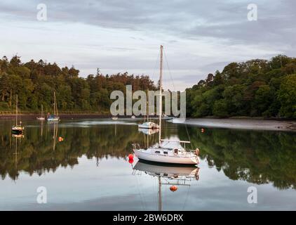 Crosshaven, Cork, Irland. 30. Mai 2020.Dawn bricht in Drake's Pool, Crosshaven, Co. Cork, Irland, über die Stille der vertäuten Yachten. Das Wetter für den Feiertag wird warm und sonnig sein, mit Temperaturen zwischen 22-26 Grad celsius. - Credit; David Creedon / Alamy Live News Stockfoto