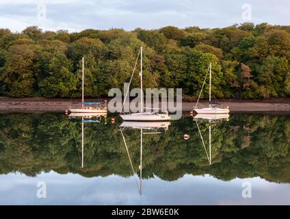 Crosshaven, Cork, Irland. 30. Mai 2020.Dawn bricht in Drake's Pool, Crosshaven, Co. Cork, Irland, über die Stille der vertäuten Yachten. Das Wetter für den Feiertag wird warm und sonnig sein, mit Temperaturen zwischen 22-26 Grad celsius. - Credit; David Creedon / Alamy Live News Stockfoto