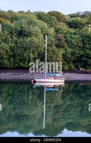 Crosshaven, Cork, Irland. 30. Mai 2020.Dawn bricht in Drake's Pool, Crosshaven, Co. Cork, Irland, über die Stille der vertäuten Yachten. Das Wetter für den Feiertag wird warm und sonnig sein, mit Temperaturen zwischen 22-26 Grad celsius. - Credit; David Creedon / Alamy Live News Stockfoto