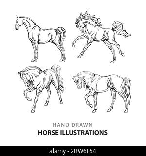 Pferd. Handgezeichnete Pferd Illustrationen Set. Skizze Zeichnung Pferde in verschiedenen Posen. Teil des Sets. Stock Vektor