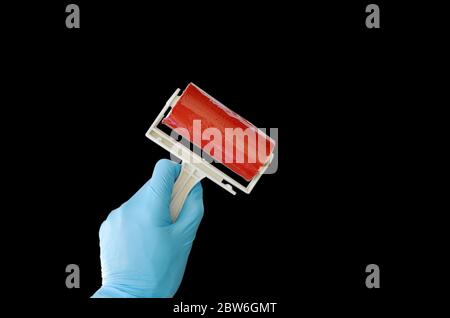 Hand in blauen Gummihandschuh mit roter klebriger Staubwalze auf schwarzem Hintergrund Stockfoto