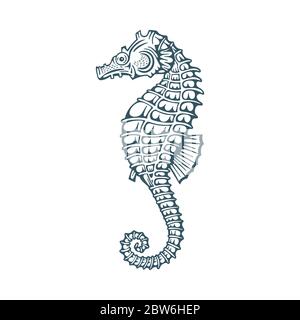 Seepferdchen. Seahorse Hand gezeichnete Vektorgrafik. Stock Vektor