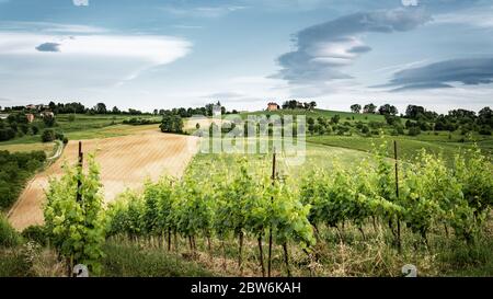 Grüne Weinberge und herrlicher Himmel, idyllische Landschaft. Italien Stockfoto