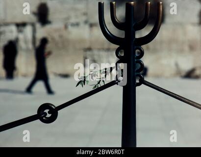 Orthodoxe Juden beten an der Klagemauer in Jerusalem, Israel Stockfoto