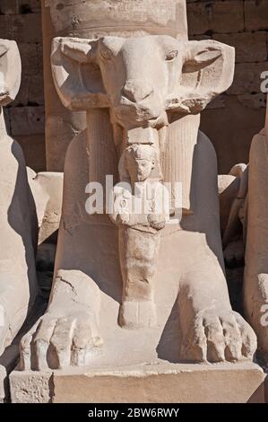 Alte ägyptische Widder-Kopf-Stein-Sphinx-Statue am Karnak-Tempel in Luxor Stockfoto