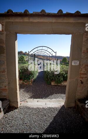 Europa, Italien, Toskana, Chianti, Schloss Meleto Stockfoto