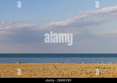 Glatte Sandlinien mit Kohl, Meer und Himmel mit Wolken auf dem Hintergrund. Stockfoto