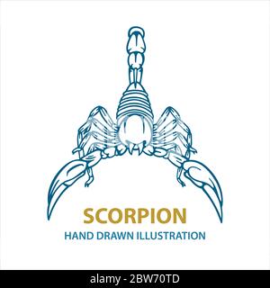 Scorpion. Handgezeichnete Skorpion-Vektorgrafik. Scorpion Tattoo. Vektorgrafik. Teil des Sets. Stock Vektor