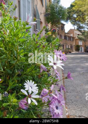 Straße in Gassin Dorf, Französisch Riviera, Cote d'Azur, Provence, Südfrankreich Stockfoto