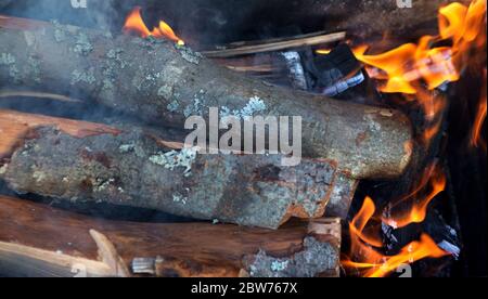 Feuerkholz. Meldet sich im Feuer an. Rauch von Lagerfeuer. Holz brennend im Feuer beleuchtet. Stockfoto