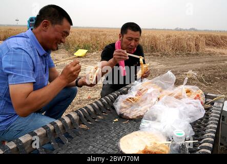 (200530) -- ZHOUKOU, 30. Mai 2020 (Xinhua) -- Qin Yinhong (R) hat in einem Weizenfeld im Dorf Nanling, Stadt Zhoukou, Provinz Henan, 29. Mai 2020 zu Mittag gegessen. Qin Yinhong, 51, ein Weizensammler aus dem Wuji Bezirk in der Provinz Hebei im Norden Chinas, macht die Arbeit seit über 20 Jahren. Jedes Jahr fährt er seine Maschine, die Weizen in der zentralchinesischen Provinz Henan und in der nordchinesischen Provinz Hebei erntet. In diesem Jahr beginnt die Ernte am 20. Mai. Während seiner Arbeitstage steht Qin um fünf Uhr morgens auf und arbeitet bis acht oder neun Uhr abends, wobei er etwa 80 Mu (etwa 5.33) erntet Stockfoto