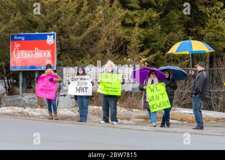 Saint John, NB, Kanada - 23. März 2019: Demonstranten fordern Antworten auf Berichte über angeblichen Tiermissbrauch im Cherry Brook Zoo. Stockfoto