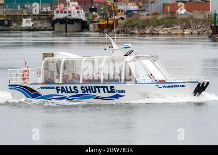 Saint John, NB, Kanada - 7. Oktober 2018: Ein mit Passagieren gefülltes Ausflugsboot führt durch den Hafen von Saint John und die Reversing Falls. Stockfoto