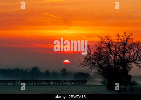 Sonnenaufgang, Bäume und Felder, über der Landschaft, in Bedfordshire UK Stockfoto