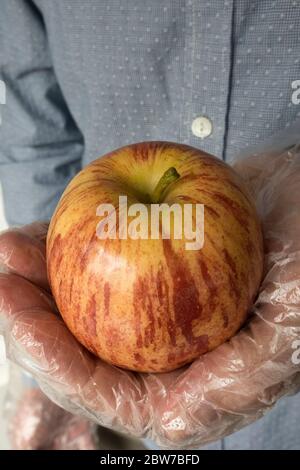 Mann, der während der Covid-19-Pandemie nach frischem Obst kauft, trägt Plastikhandschuhe, USA 2020 Stockfoto