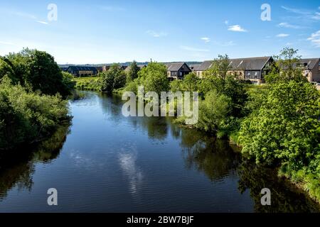 Clyde Walkway, Cuningar Loop, Glasgow, Schottland, Großbritannien. Stockfoto