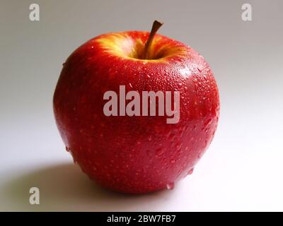 Roter Apfel mit Wassertropfen. Stockfoto