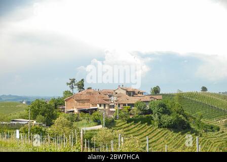 Blick auf die Hügel der Langhe in der Nähe von Serralunga d'Alba, Gemeinde Sorano Stockfoto
